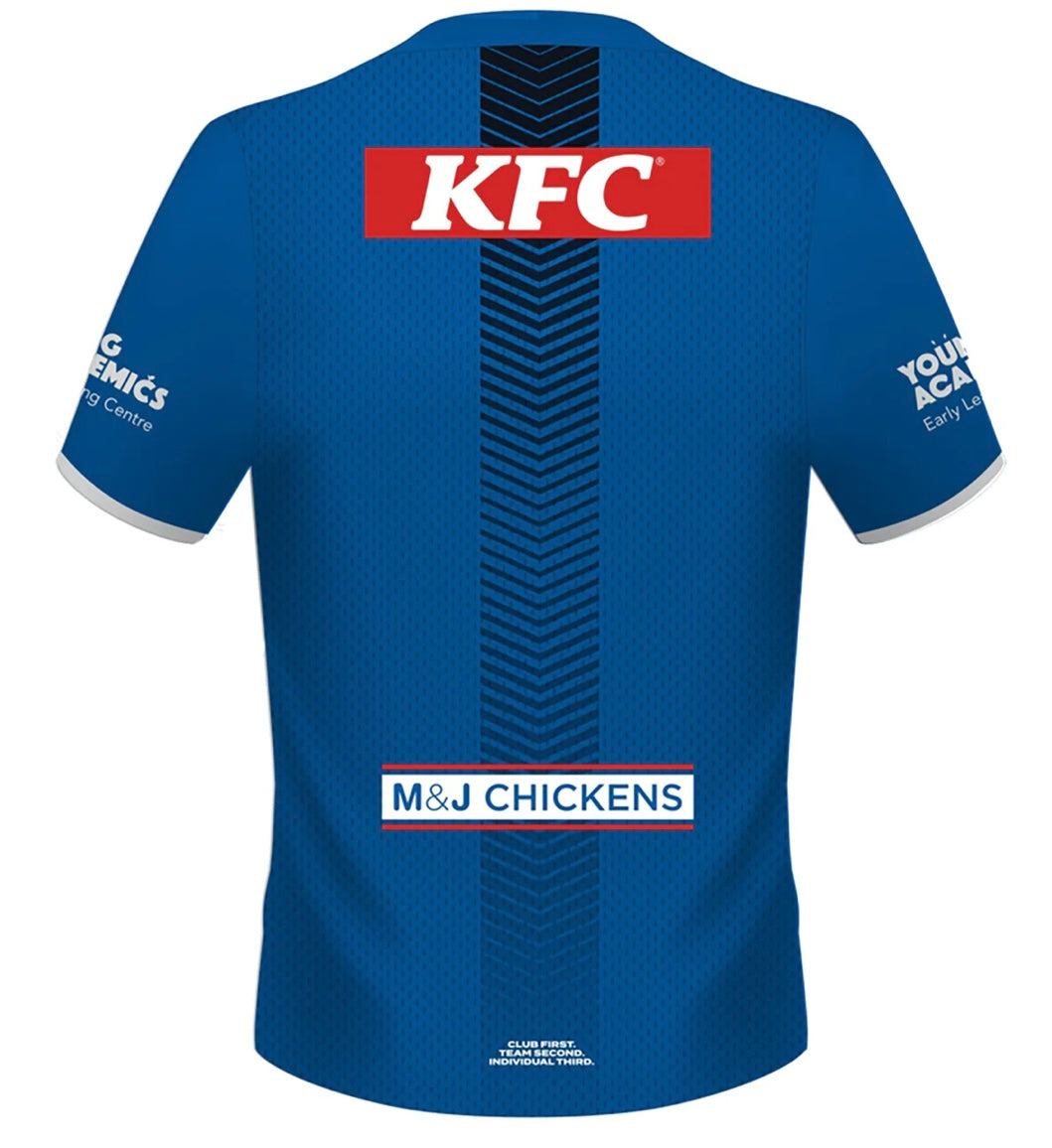 Canterbury Bulldogs training T-shirt (season 2024)