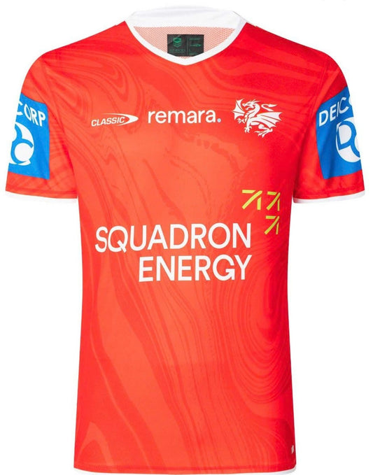 St George-Illawarra Dragons training t-shirt (season 2025)